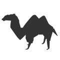 Camel vector eps silhouette Hand drawn Crafteroks svg free, free svg file, eps, dxf, vector, logo, silhouette, icon, instant downl Royalty Free Stock Photo