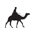 Camel Silhouette