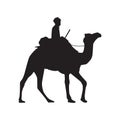 Camel Silhouette