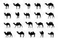 Camel silhouettes, Camel silhouette set, Camel vector illustration, Camel clipart