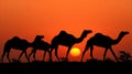 Camel silhouettes emerging from golden haze symbolizing profound epiphany Royalty Free Stock Photo