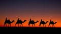 Camel silhouettes in tranquil desert light expressing gentle epiphany clarity Royalty Free Stock Photo
