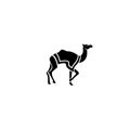 Camel simple logo icon designs vector illustration