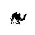 Camel simple logo icon designs vector illustration