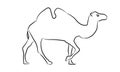 Camel sketch style silhouette. Hand drawn style vector illustration. Royalty Free Stock Photo