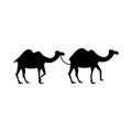 Camel Solid Design Style Icon. Simple Arabic Desert Animal. Royalty Free Stock Photo