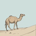 Camel standing on desert sand dunes illustration Royalty Free Stock Photo