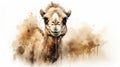 Award-winning Watercolor Painter Creates Stunning Camel Portrait