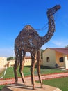 Camel statue at the Jaisalmer war museum
