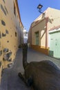 Camel statue in the small town of AgÃÂ¼imes in Gran Canaria