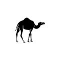 Camel symbol sign vector Royalty Free Stock Photo