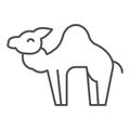 Camel thin line icon. Desert caravan animal silhouette. Animals vector design concept, outline style pictogram on white Royalty Free Stock Photo