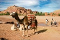 Camel and tourist behind Kasbah of Ait Ben Haddou Royalty Free Stock Photo