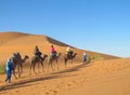 Camel tourist caravan in desert