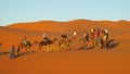 Camel tourist caravan in desert