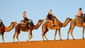 Camel tourist caravan in desert Royalty Free Stock Photo
