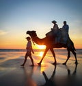 Camel Tours on Cable Beach, Broome, Western Australia Royalty Free Stock Photo