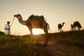 Camel Trader