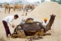Camel Decoration, Pushkar India Royalty Free Stock Photo
