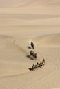 Camel train in desert