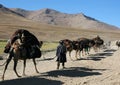 A camel train near Chaghcharan, Ghor Province, Central Afghanistan