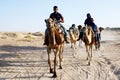 Camel Train, Sahara Desert, Douz, Tunisia Royalty Free Stock Photo