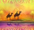 Camel train silhouetted against colorful sky crossing the Sahara Royalty Free Stock Photo