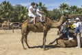 Camel trip on Cyprus Island