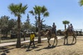 Camel trip on Cyprus Island