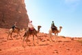 Camel trip in Wadi Rum desert, Jordan Royalty Free Stock Photo