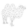 Camel, two - humped, from abstract futuristic polygonal black lines and dots. Vector illustration