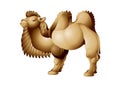 Camel with two humps, Bactrian Royalty Free Stock Photo