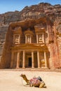 Camel used by local guides for tourists entertainment and transport in front of the Treasury, a famous landmark in Petra, Jordan