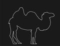 Camel vector line contour silhouette illustration. Royalty Free Stock Photo