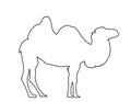 Camel vector line contour silhouette isolated on white Royalty Free Stock Photo