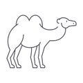 Camel vector line icon, sign, illustration on background, editable strokes Royalty Free Stock Photo