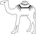 Camel Vector