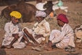 Camel vendors from the city of Pushkar,Pushkar Mela