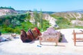 Camel waiting for tourists Cappadocia UÃÂ§hisar Turkey Royalty Free Stock Photo