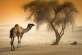 Camel walking through the sahara desert . Travel and Adventure concept. Generative Ai