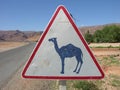 Camel warning sign