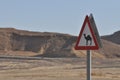 Camel warning sign on the road. Signage in the desert in Israel