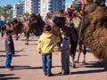 Camel wrestling festival