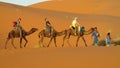 Cameleer with camel caravan in desert