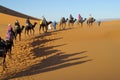 Cameleer with camel caravan in desert