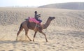 Cameleer with Camel in Rajasthan