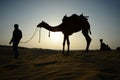 Cameleer with Camel in Rajasthan