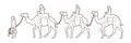 Cameleer with camels cartoon graphic