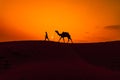 Cameleers, camel Drivers at sunset. Thar desert on sunset Jaisalmer, Rajasthan, India Royalty Free Stock Photo