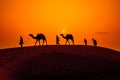 Cameleers, camel Drivers at sunset. Thar desert on sunset Jaisalmer, Rajasthan, India Royalty Free Stock Photo